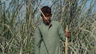 Boy in a field