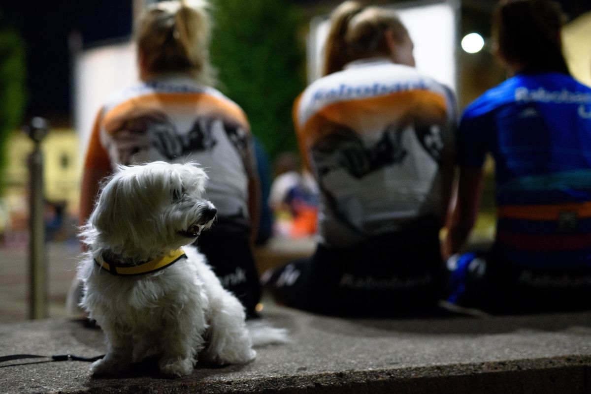 The next Rabo-Liv team mascot