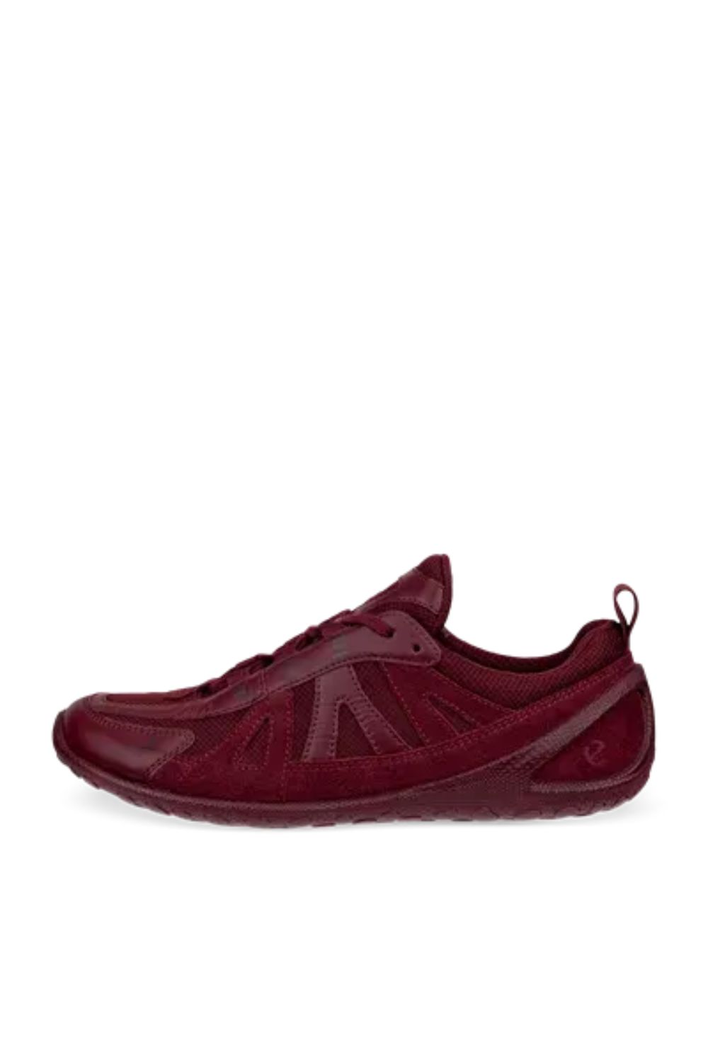 Ecco, Ecco Biom Lite W