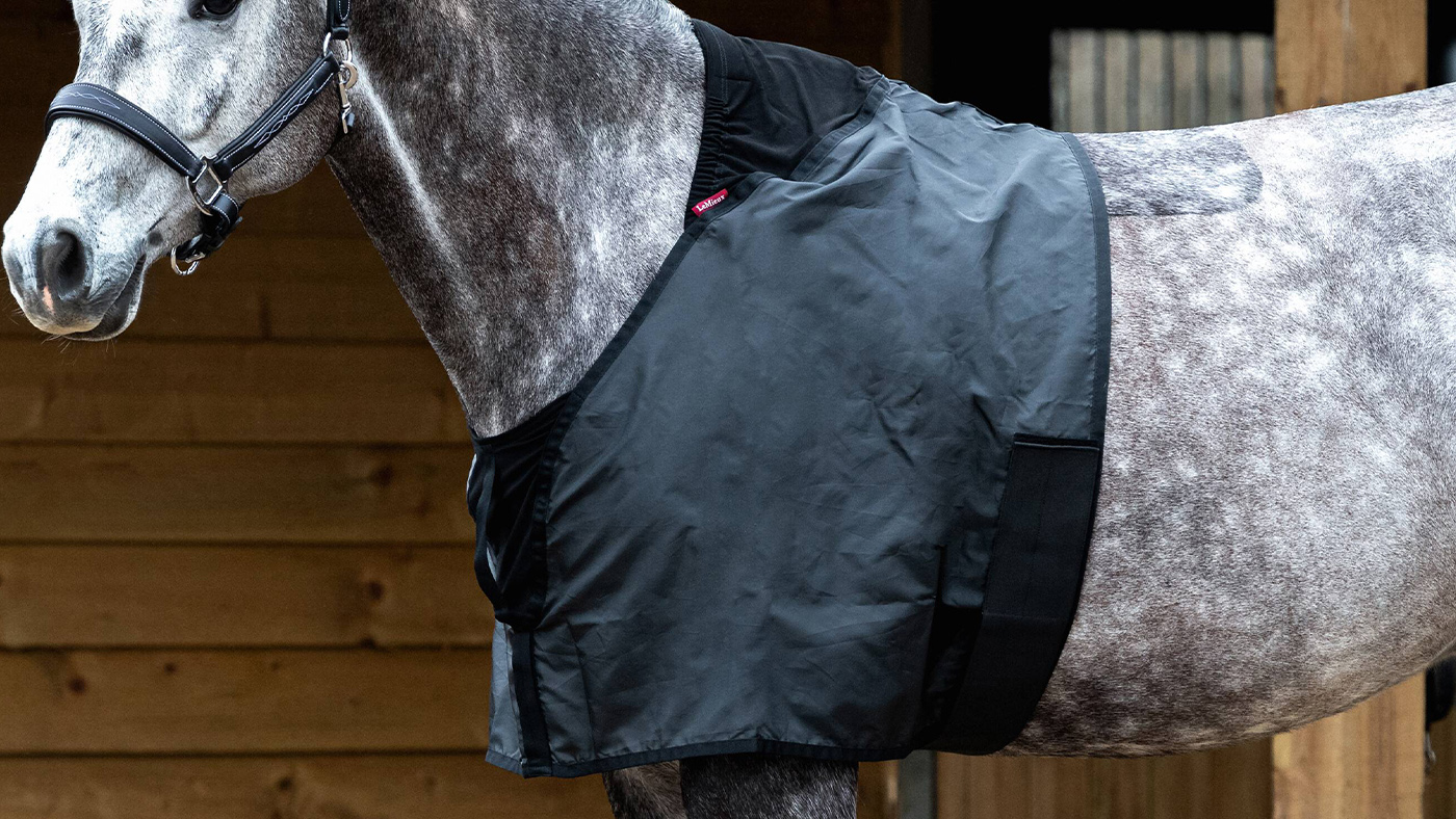 LeMieux Anti-Rub Bib