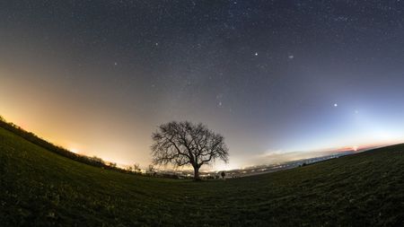 A tree in the center of the image with a starry sky and Earth in the foreground.