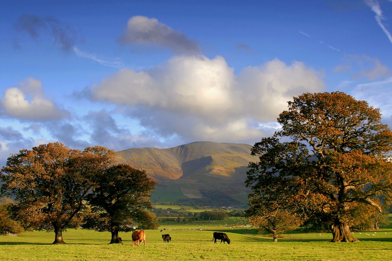 Stunning view over Bassenthwaite Common in the Lake District, Cumbria.