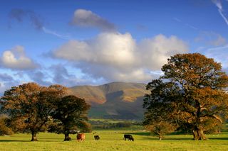 Stunning view over Bassenthwaite Common in the Lake District, Cumbria.