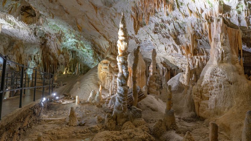 The Postojna cave in slovenia with stalagmite structures.