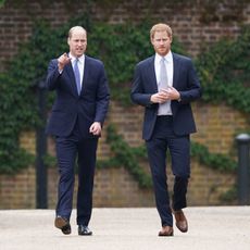 prince william prince harry