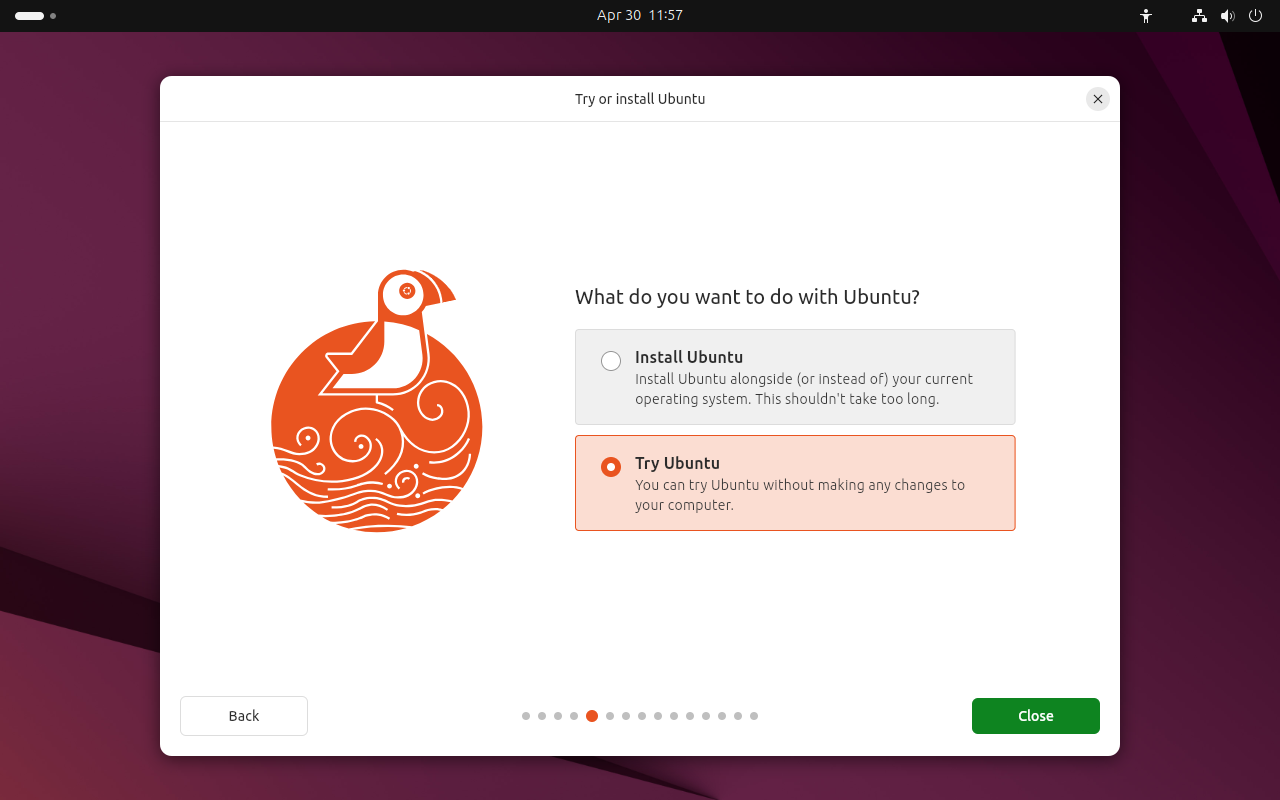 Ubuntu install screenshot