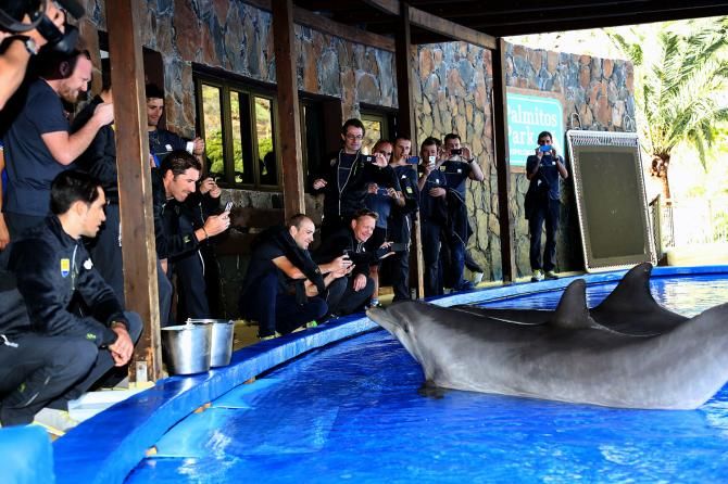 The Tinkoff Saxo riders meet the dolphins