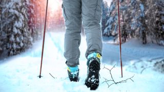 waterproof hiking boots