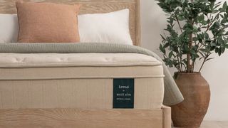 Leesa's Natural Hybrid Mattress in a bright bedroom with a neutral colour scheme