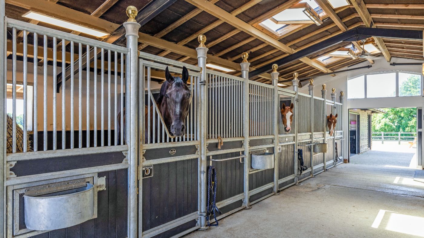 Guildenhurst Stud - Savills (19)