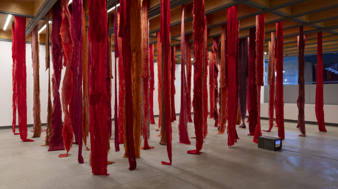 .-Cecilia-Vicuna-Quipu-menstrual-1-2006-2024-1170x655