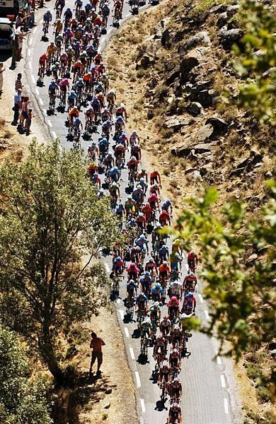 The peloton like ants