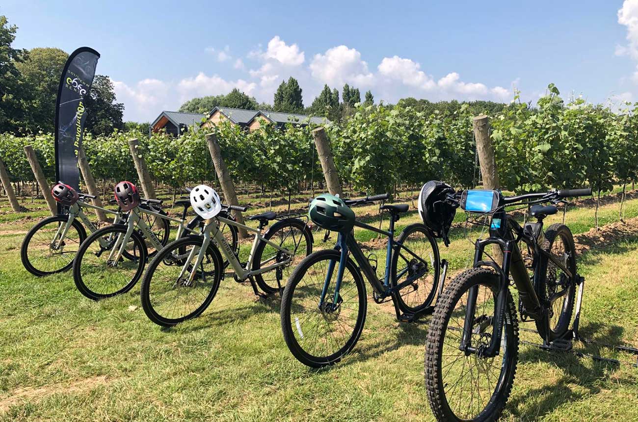 E-bikes-in-Ashling-Park-Vineyards-credit-SW.jpg