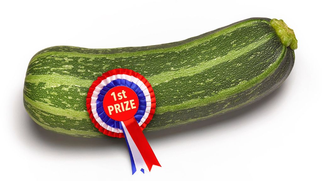 A first prize ribbon on a zucchini