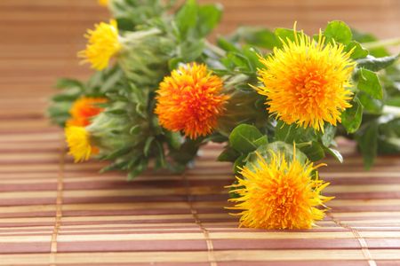 safflower harvest