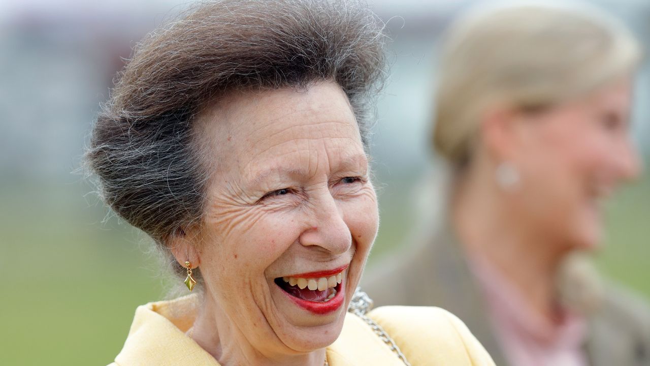 Princess Anne&#039;s wildly futuristic sunglasses