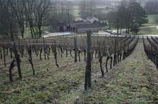 M&eacute;tairie Grande du Th&eacute;ron, Vignobles Sigaud, Cahors, Jefford