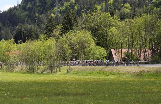 The peloton