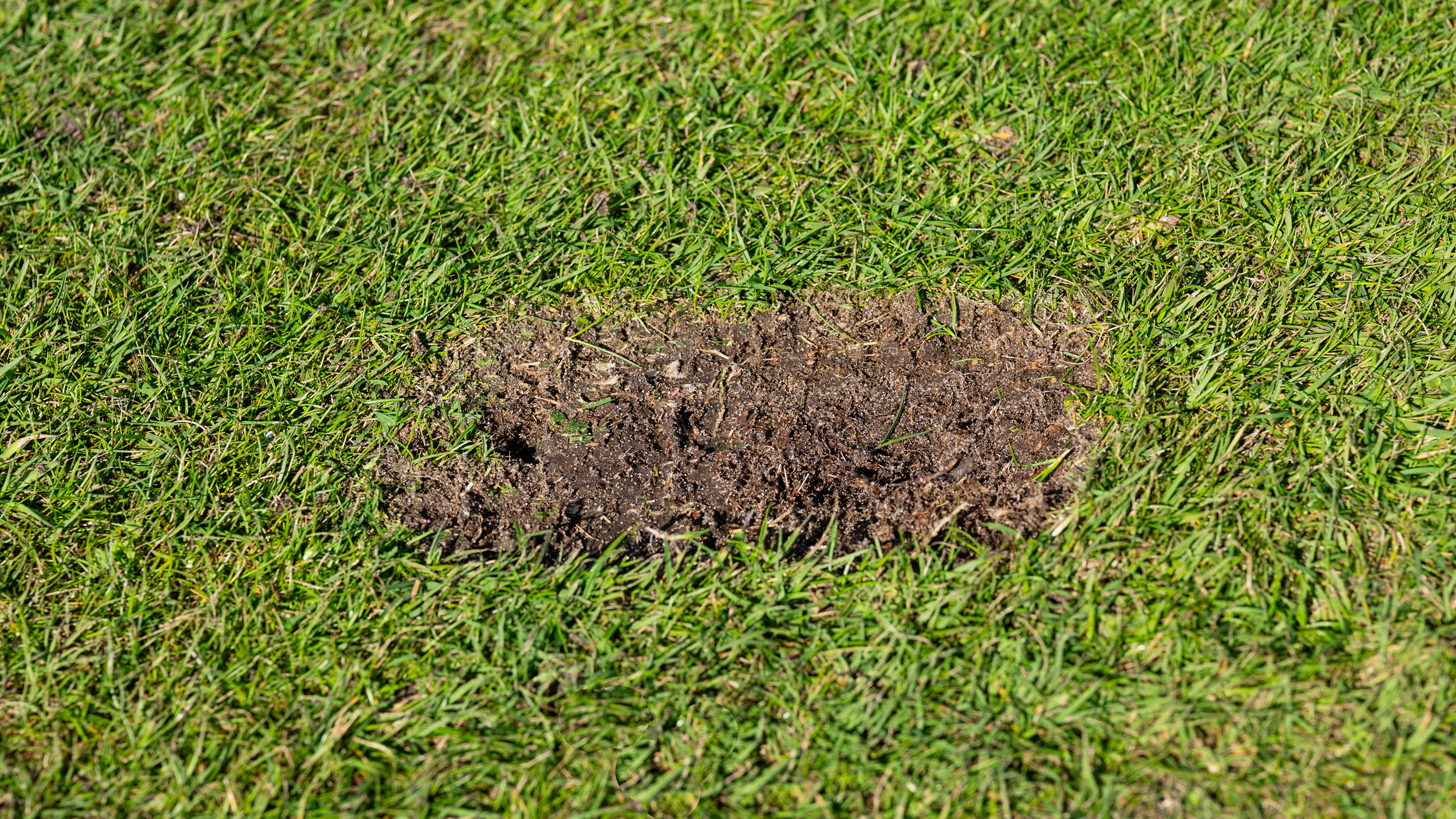 divot on the fairway