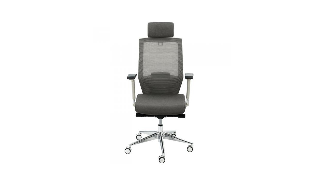 Back Support Ergonomic Office Chair OC13