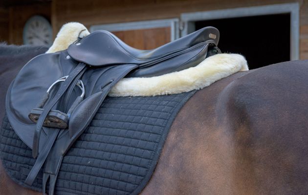 How to clean a saddle Felix B&uuml;hler Sheepskin Sydney Saddle Pad review
