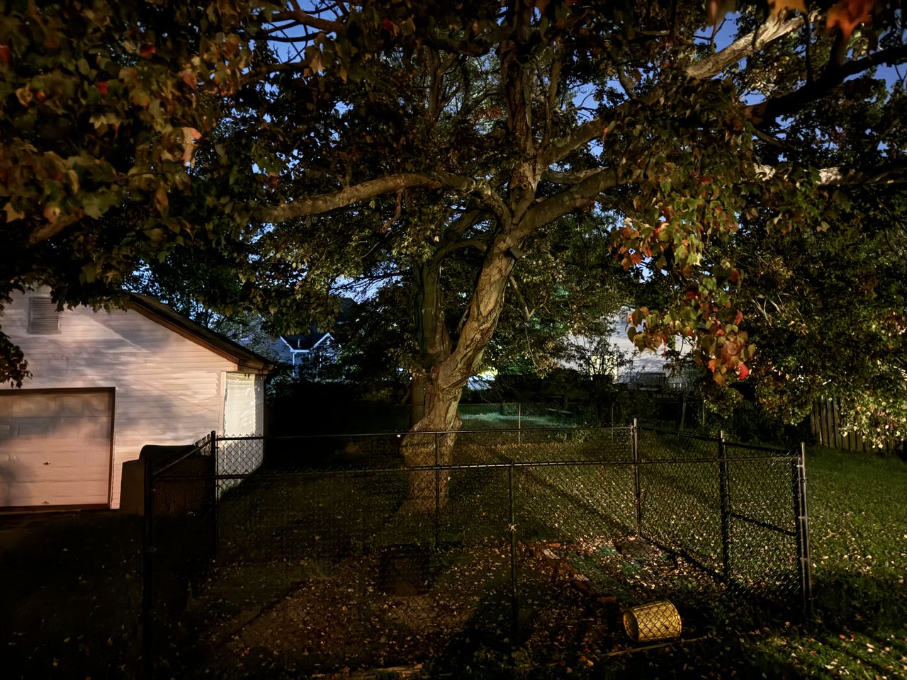 Low light photos taken with the iPhone 15 Pro Max.