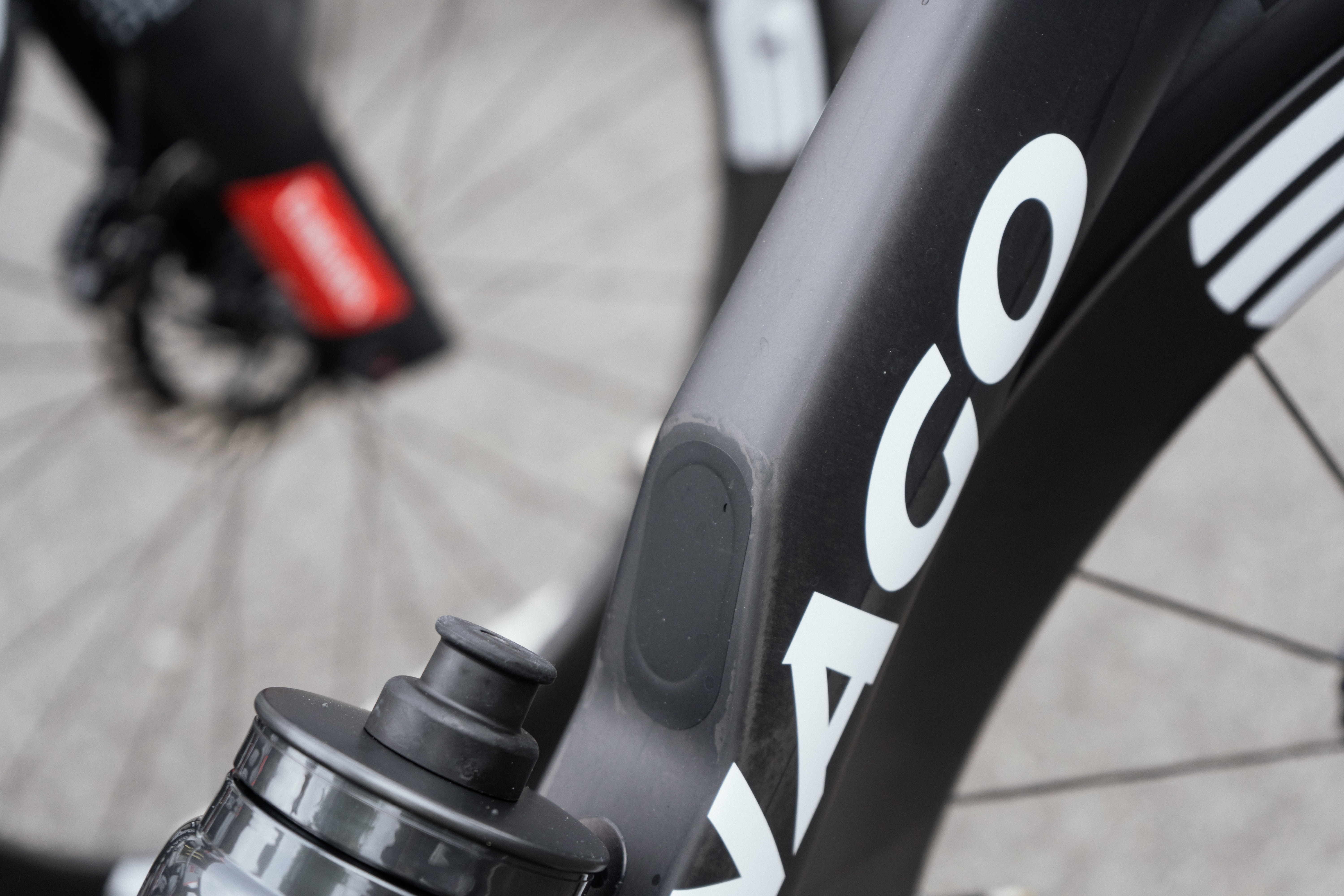 Tadej Pogacars pato toro