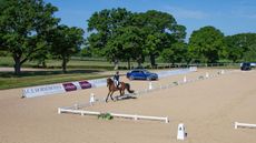 dressage.jpeg