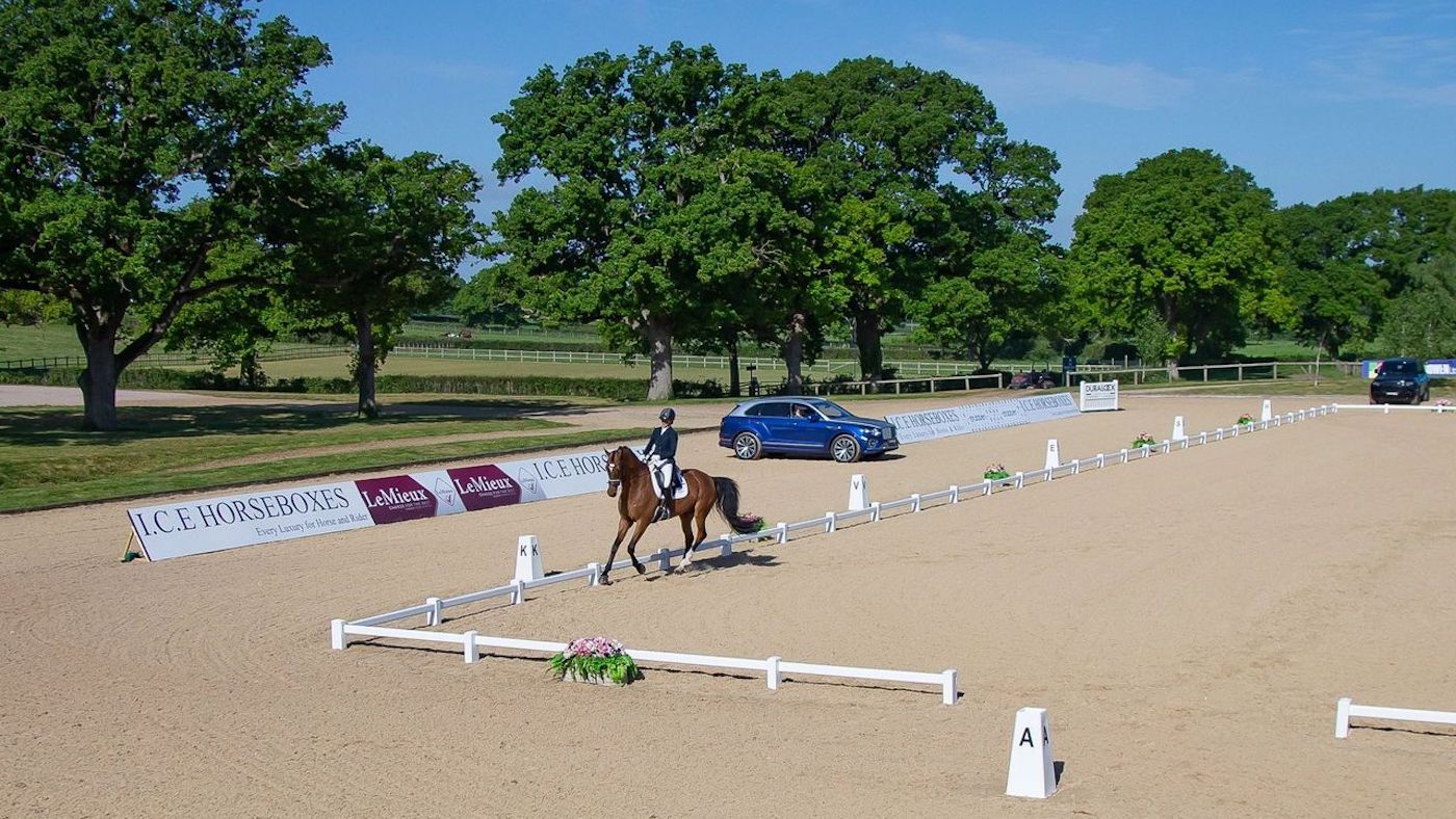 dressage.jpeg