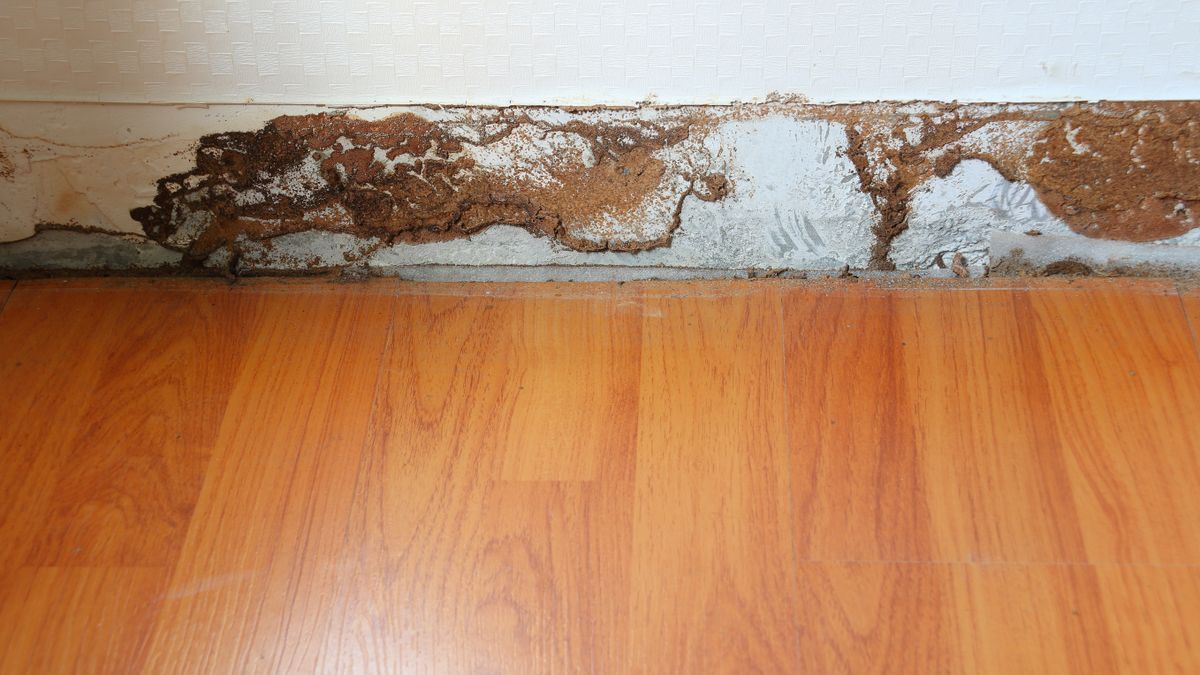 Post image 9