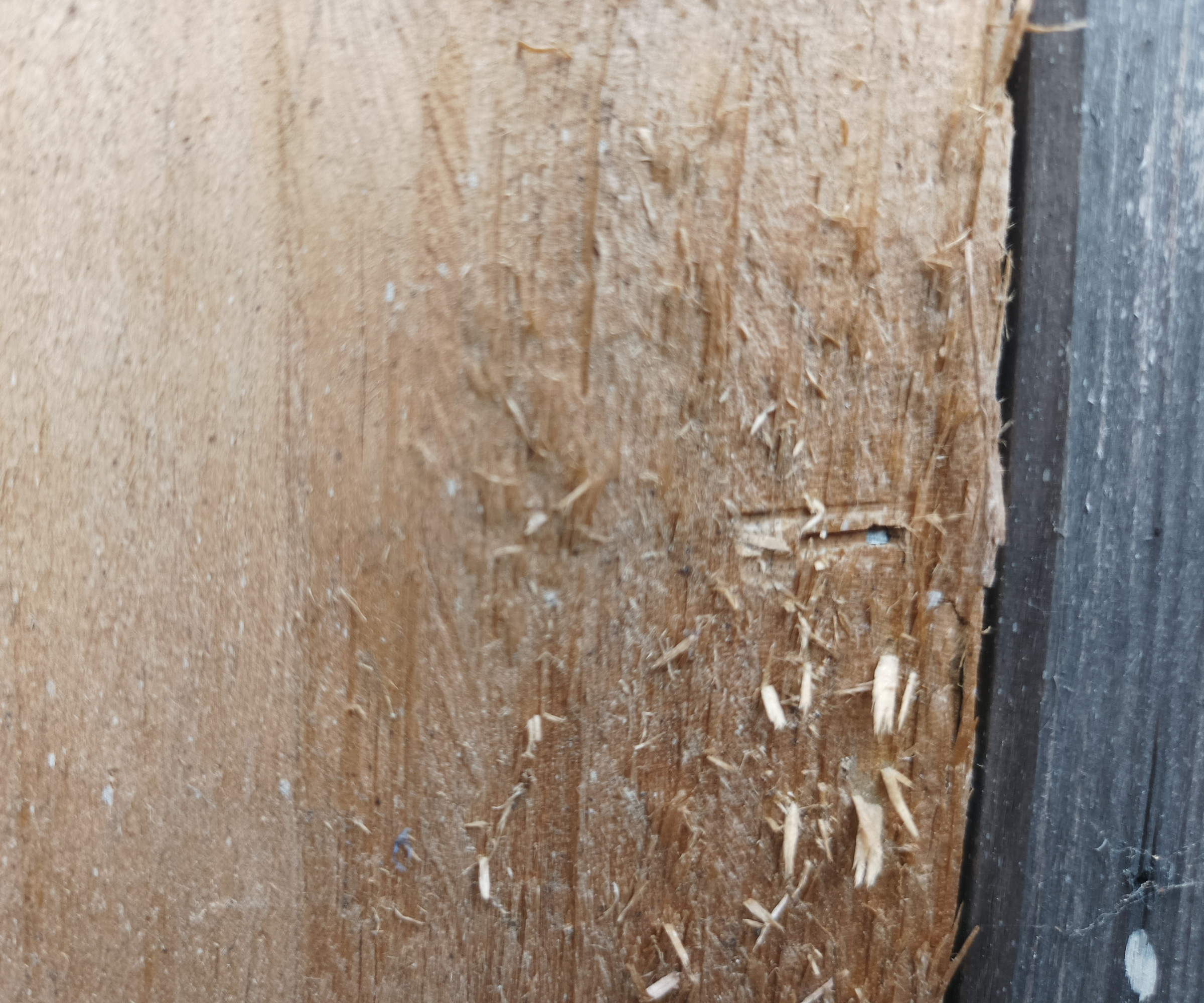 Close up of brad nail in timber fence panel
