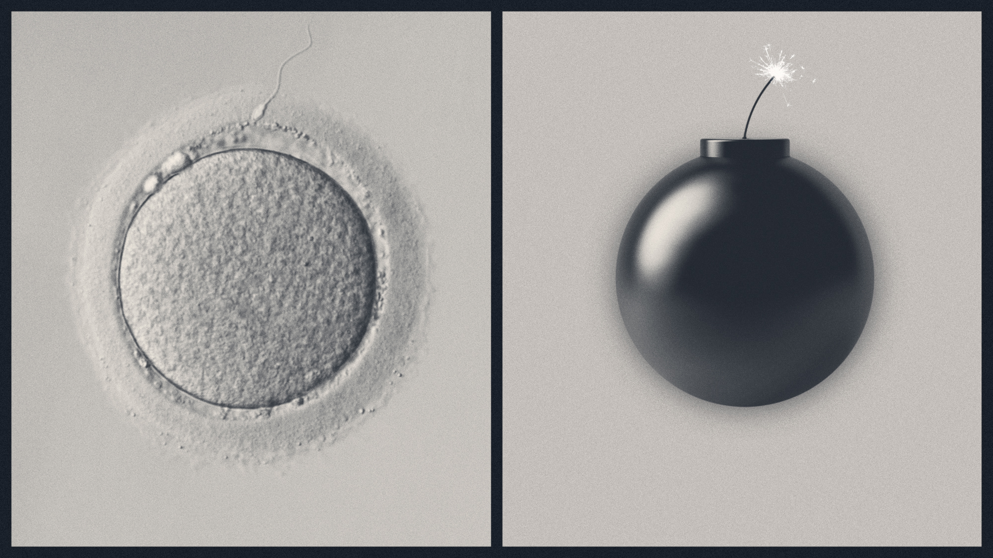 Illustration of a sperm cell and unfertilised egg mirrored by a bomb with a lit fuse