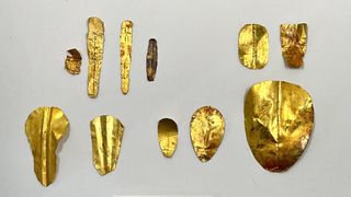 a variety of gold tongues and nails