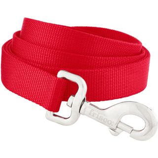 Frisco Solid Nylon Dog Leash