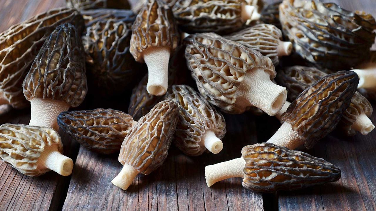 pile of morel mushrooms on wooden table