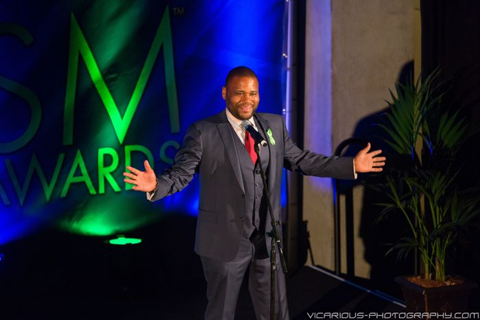 Anthony Anderson, 2014 PRISM Awards