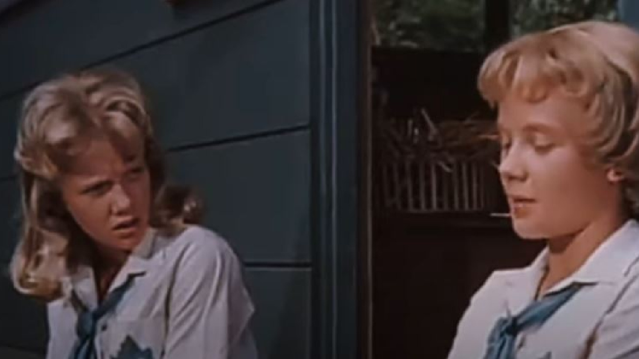 The main stars of The Parent Trap.