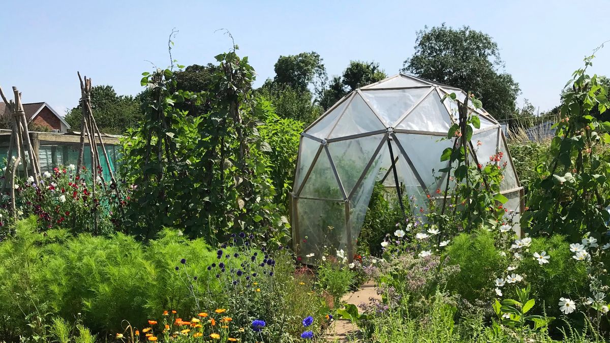 I Built My Own DIY Greenhouse With This Brilliant $200 Kit – & Just Look How Stylish it is!