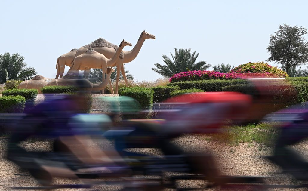 JEBEL HAFEET UNITED ARAB EMIRATES FEBRUARY 23 A general view of the peloton competing during the 7th UAE Tour Stage 7 a 176km stage from Al Ain Hazza Bin Zayed Stadium to Jebel Hafeet 1031m UCIWWT on February 23 2025 in Jebel Hafeet United Arab Emirates Photo by Dario BelingheriGetty Images