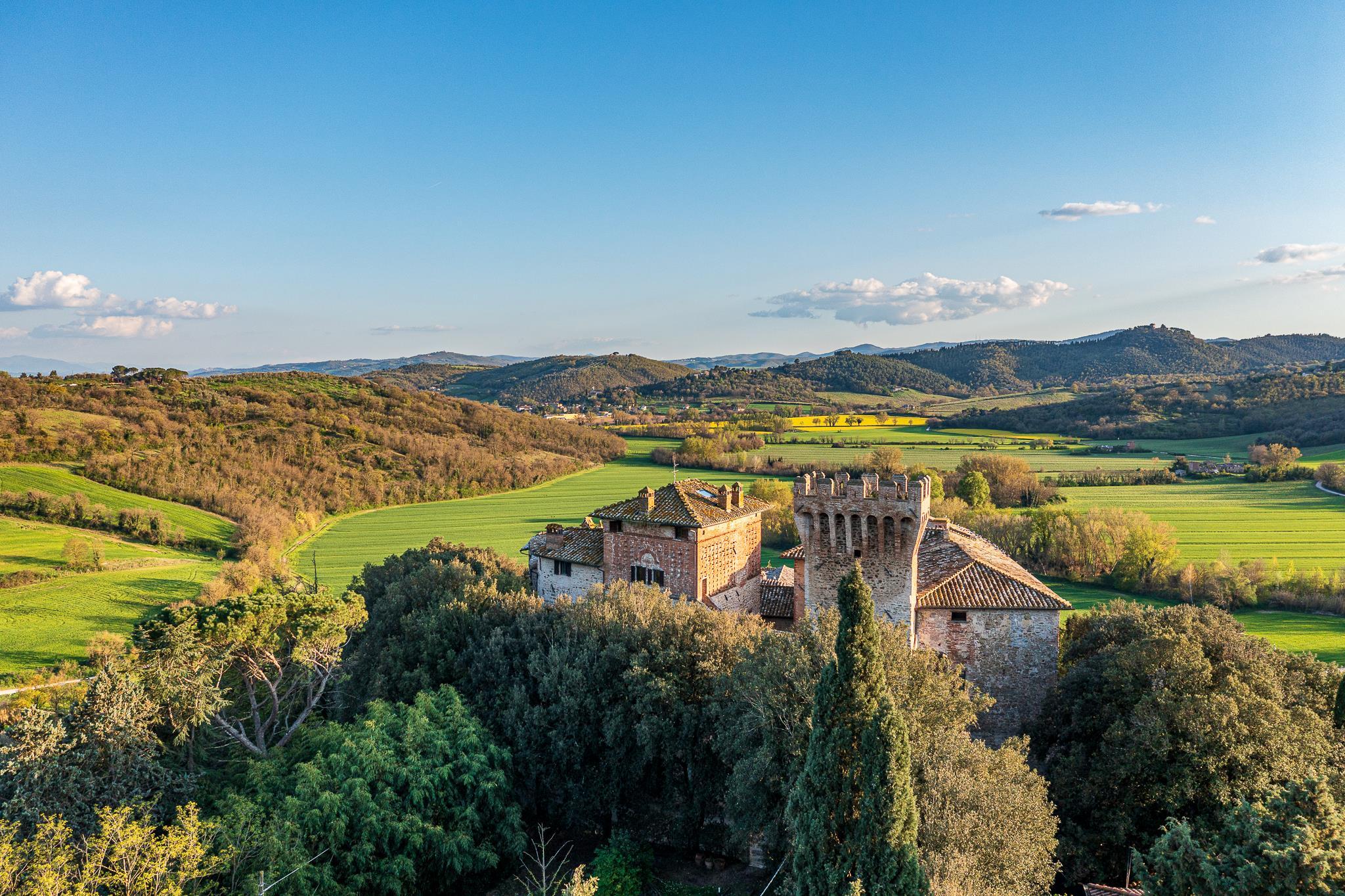 Castle for sale