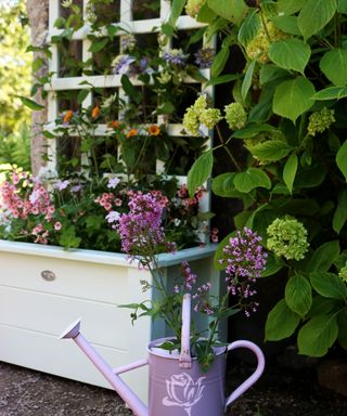 A painted planter box with attached trellis