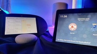 Google Assistant and Amazon Alexa smart speakers