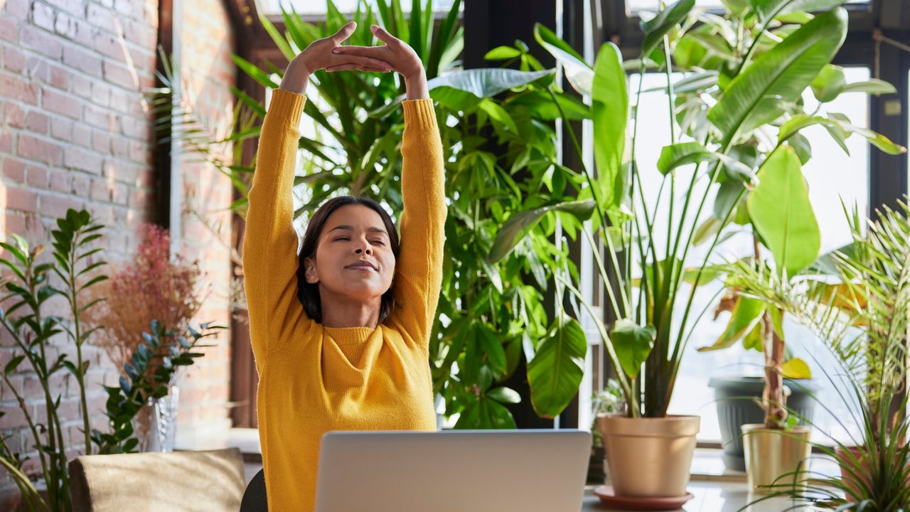 woman sat wearing a yellow sweater stretching her arms overhead in front of a laptop. Behind her is a row of plants with light shining through. 