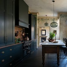 kitchen with black cabinets