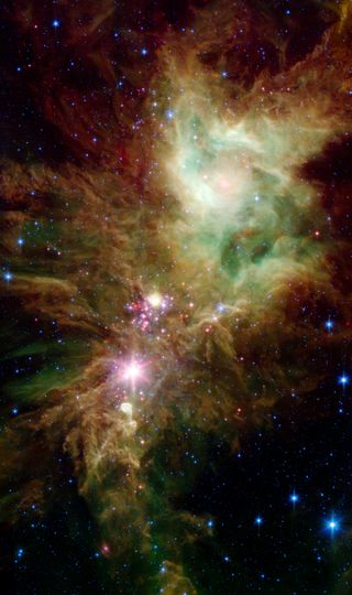 Newborn stars, hidden behind thick dust, are revealed in this image of a section of the so-called Christmas Tree Cluster from NASA's Spitzer Space Telescope.