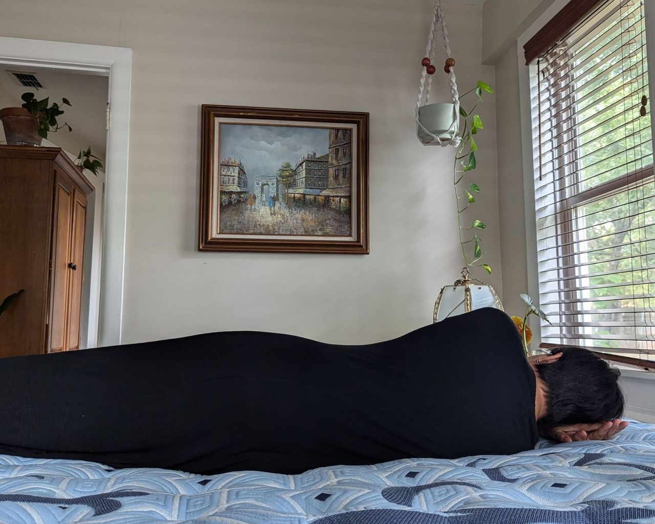 A woman wearing black lying on the blue Stearns &amp; Foster Estate Mattress. The room is white, with a large window with slatted blind, a hanging trailing plant, and a painting in a brown frame.