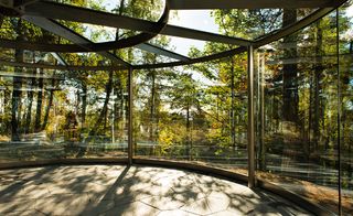 The interior of the glass pavilion with a view of the forest through the clear glass