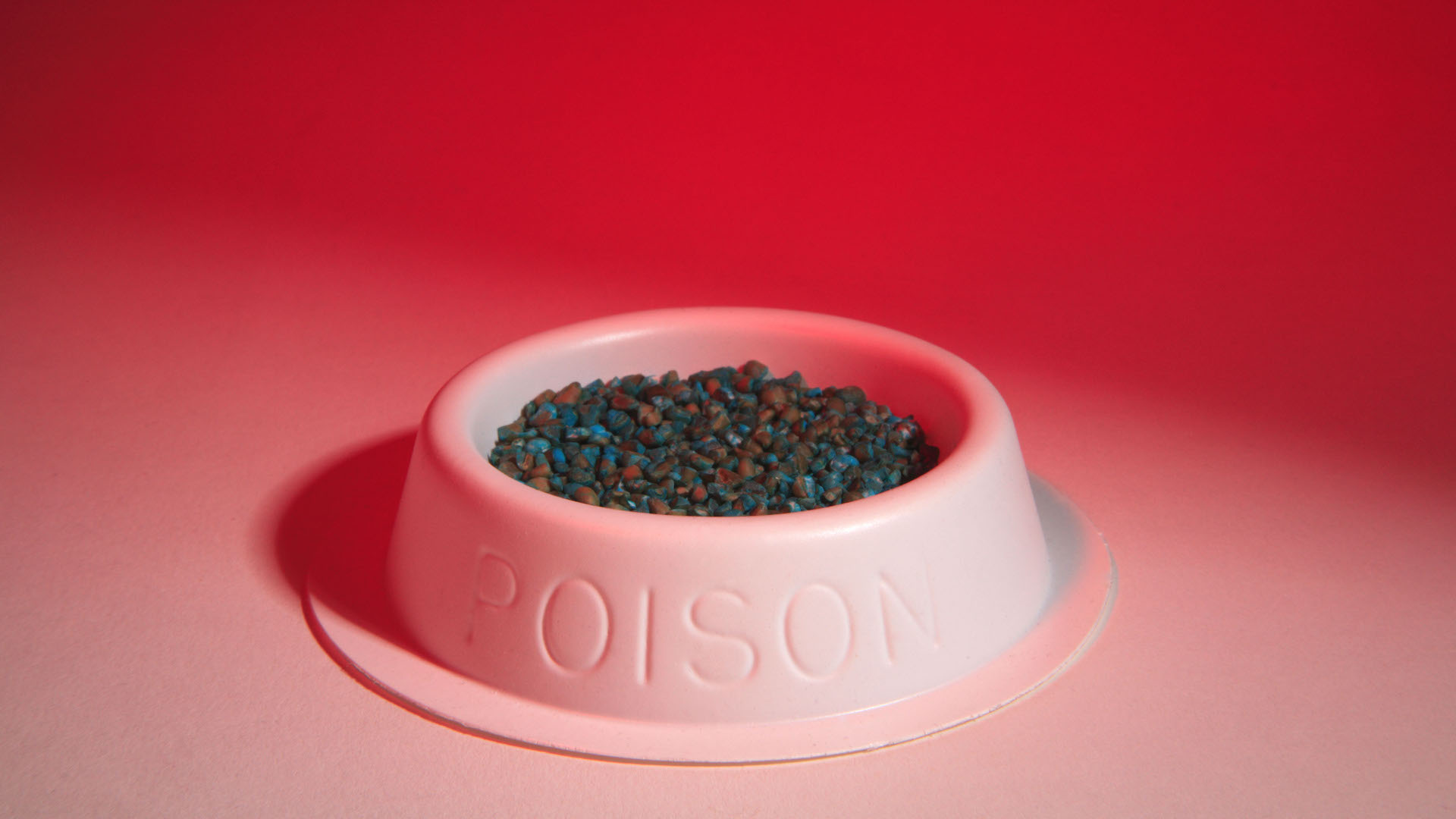 Rat poison in a bowl