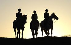 Fernie_Hunting15pn_3284.jpg