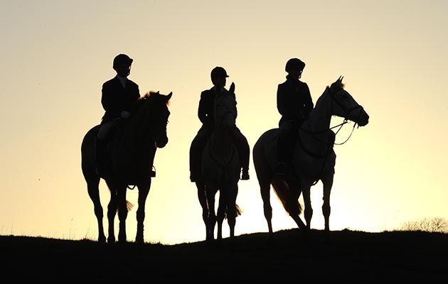 Fernie_Hunting15pn_3284.jpg